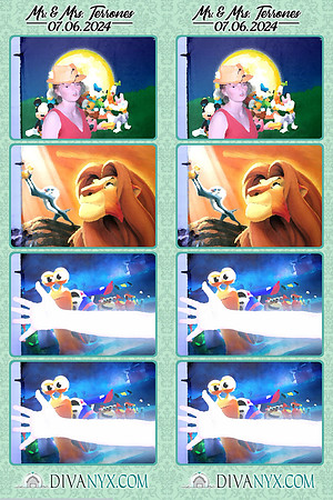 105482-strip
