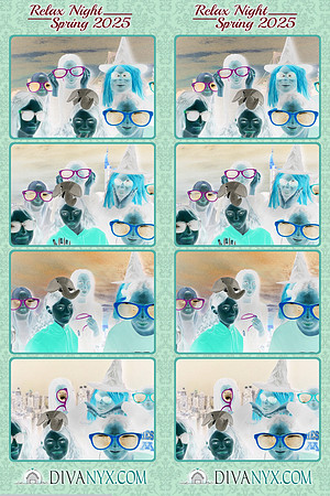 104003-strip