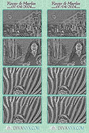105213-strip