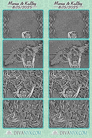 119348-strip
