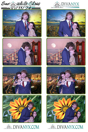 115094-strip