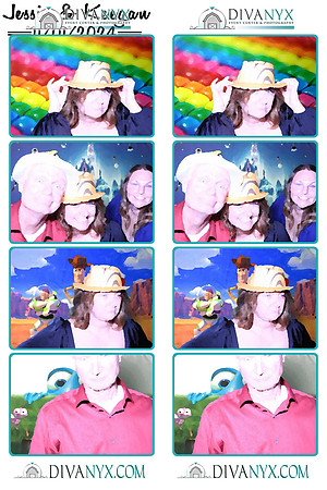 116273-strip