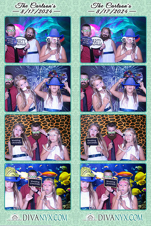109165-strip