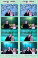 118755-strip