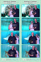 118775-strip