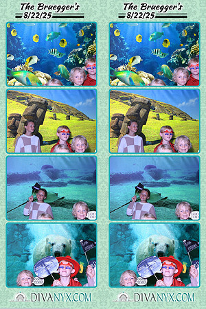 120107-strip