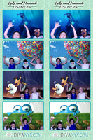 117581-strip