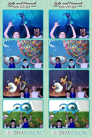117581-strip
