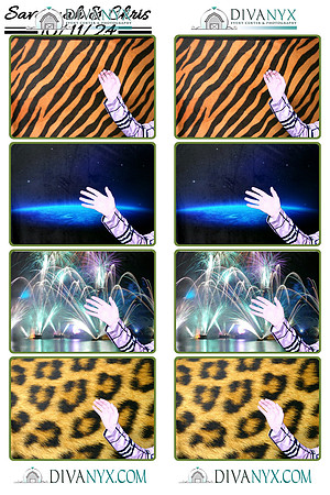 115074-strip