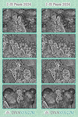 102133-strip