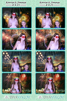 118767-strip