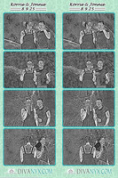 118763-strip