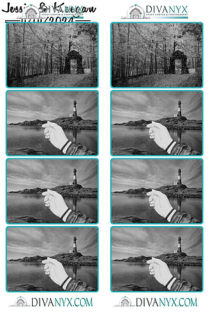 116209-strip