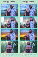 118783-strip