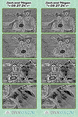 113992-strip