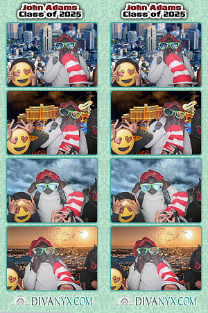 104799-strip
