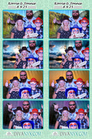 118707-strip