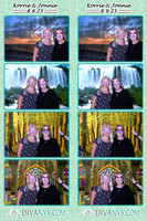 118731-strip