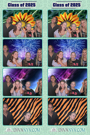 104486-strip