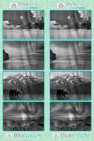 120053-strip
