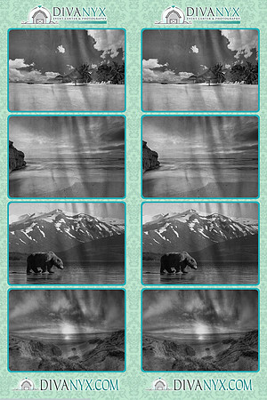 120053-strip