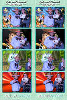 117615-strip