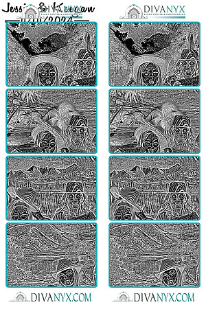 116253-strip