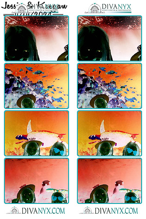 116230-strip