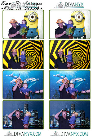 115569-strip