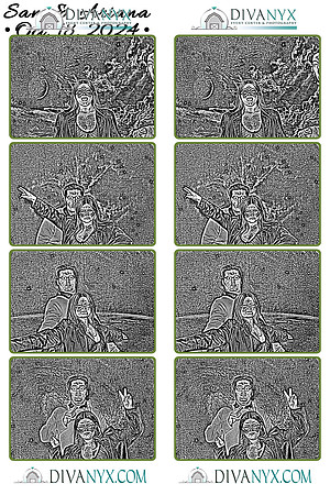 115585-strip