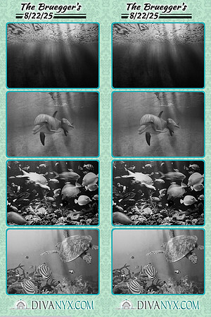 120064-strip
