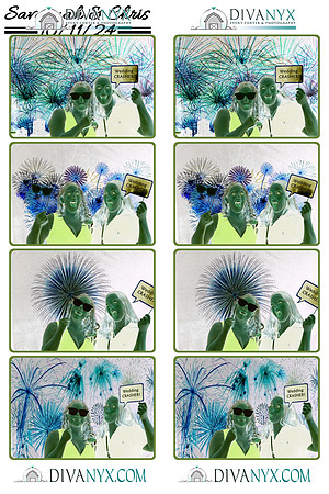 115148-strip