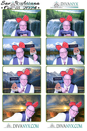 115593-strip