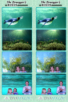 120080-strip
