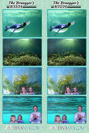 120080-strip