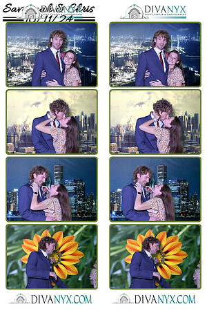 115090-strip