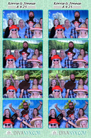 118747-strip